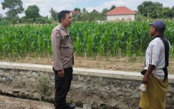 Ketahanan Pangan Polsek Labuapi Dampingi Petani Telagawaru