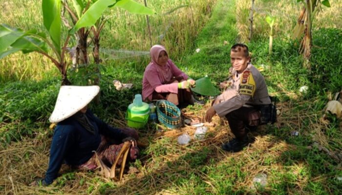 Polsek Labuapi Kawal Ketahanan Pangan di Terong Tawah Lombok Barat
