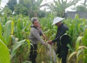 Dukung Ketahanan Pangan, Bhabinkamtibmas Sandik Edukasi Warga Manfaatkan Pekarangan