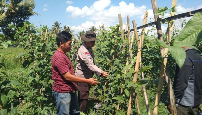 Dukung Ketahanan Pangan, Bhabinkamtibmas Desa Bagu Dorong Warga Manfaatkan Pekarangan Produktif