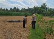 Bhabinkamtibmas Desa Sukadana Monitoring Tanaman Jagung Milik Kelompok Tani Dile Semprong I