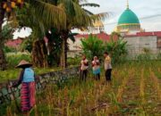 Sinergi Polsek Labuapi dan Warga Perkuat Kemandirian Pangan