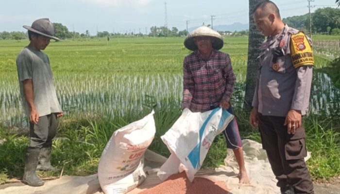 Bhabinkamtibmas Labuapi Pacu Sektor Pangan Desa Kuranji