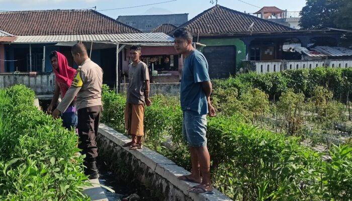 Bhabinkamtibmas Desa Masbagik Utara Kontrol Tanaman Warga untuk Dukung Ketahanan Pangan dan Jaga Kamtibmas