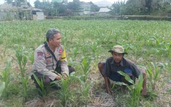 Cara Polsek Batulayar Lombok Barat Perkuat Ketahanan Pangan Desa