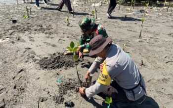 Bhabinkamtibmas dan Babinsa Desa Tanjung Luar Tanam Bibit Mangrove, Ajak Warga Jaga Kelestarian Pantai