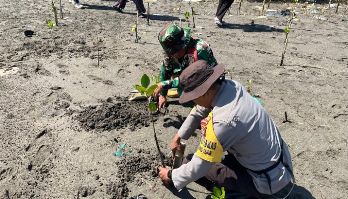 Bhabinkamtibmas dan Babinsa Desa Tanjung Luar Tanam Bibit Mangrove, Ajak Warga Jaga Kelestarian Pantai