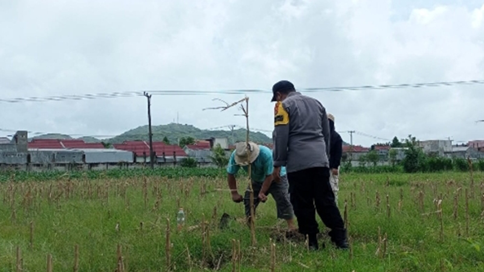Sinergi Polsek Labuapi Perkuat Ketahanan Pangan Desa
