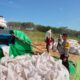 BHABINKAMTIBMAS DESA DOROPETI LAKUKAN PEMANTAUAN HASIL PANEN JAGUNG WARGA