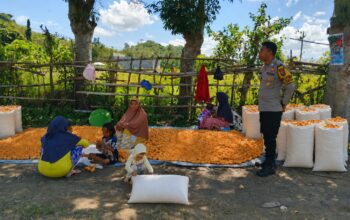 BHABINKAMTIBMAS DESA BANGGO AJAK PETANI SALURKAN HASIL PANEN KE BULOG DAN DUKUNG PEMBERANTASAN NARKOBA