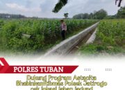 Polri dukung progam Astacita, Polsek Jatirogo Polres Tuban Turun Cek Tanaman jagung Warga di Desa Kebonharjo