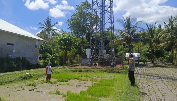 Perkuat Ketahanan Pangan, Bhabinkamtibmas Desa Ngeru Dampingi Petani Padi di Dusun Kalijaga