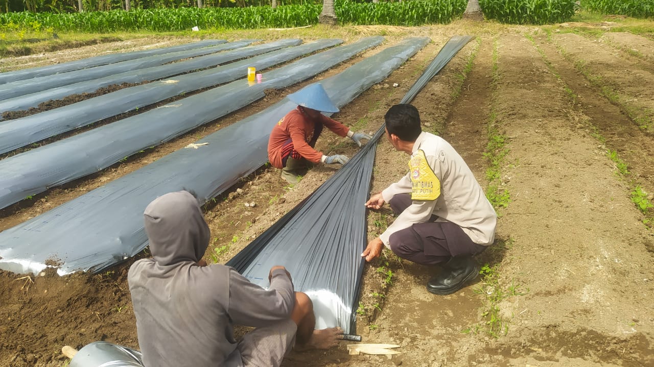 Polri Turun Tangan Dorong Ketahanan Pangan di Sekotong