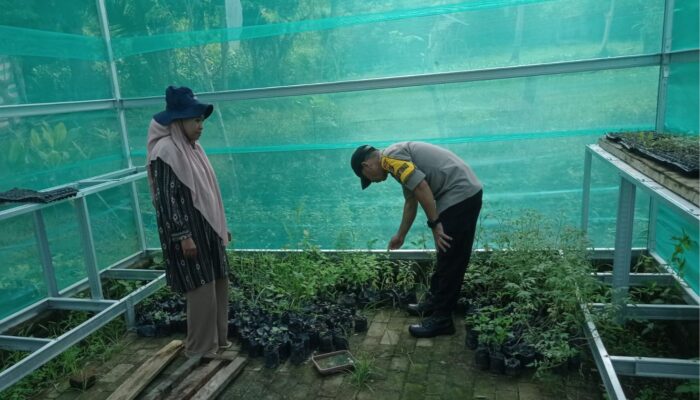 BHABINKAMTIBMAS POLSEK DOMPU DORONG WARGA KEMBANGKAN PEKARANGAN PANGAN LESTARI UNTUK PERKUAT KETAHANAN PANGAN DAN GIZI