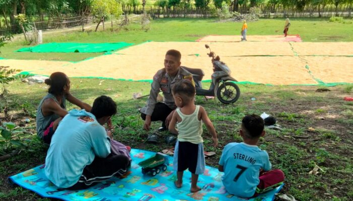 DAMPINGI PETANI JAGUNG, DORONG HASIL PANEN DISALURKAN KE BULOG UNTUK PERKUAT KETAHANAN PANGAN