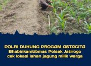 Polsek Jatirogo Pantau Ladang Jagung Warga Desa Bader , Wujud Nyata Dukung Astacita