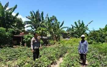 Konsep OtomatisPolsek Hu’u Intensifkan Pendampingan Pertanian, Warga Diajak Optimalkan Lahan Pekarangan