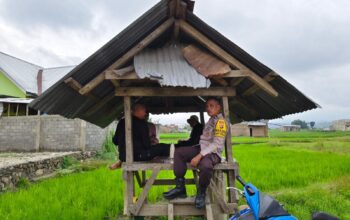 Perkuat Ketahanan Pangan, Polsek Dompu Intensifkan Pendampingan kepada Petani