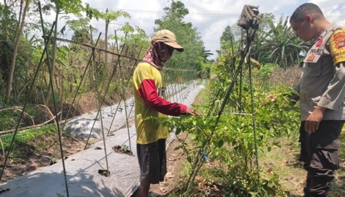 Polri Dorong Ketahanan Pangan di Kuranji Dalang Lombok Barat