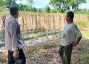 Polsek Labuapi Dorong Ketahanan Pangan Lewat Sambang Warga