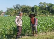 Bhabinkamtibmas Polsek Batulayar Edukasi Warga Tato Barat Soal Pangan Mandiri