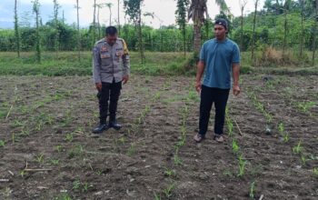 Polsek Kuripan Dampingi Petani Jagaraga Dorong Ketahanan Pangan