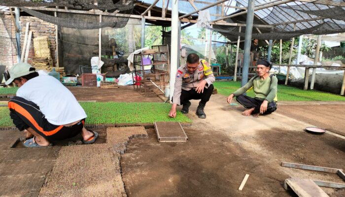 Bhabinkamtibmas Desa Bagik Papan Silaturahmi dan Cek Bibit Pertanian, Dukung Program Ketahanan Pangan