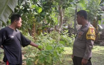 Bhabinkamtibmas Senggigi Gerakkan Warga Manfaatkan Lahan Tidur