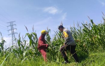 Polsek Labuapi Dorong Ketahanan Pangan Desa Kuranji Dalang
