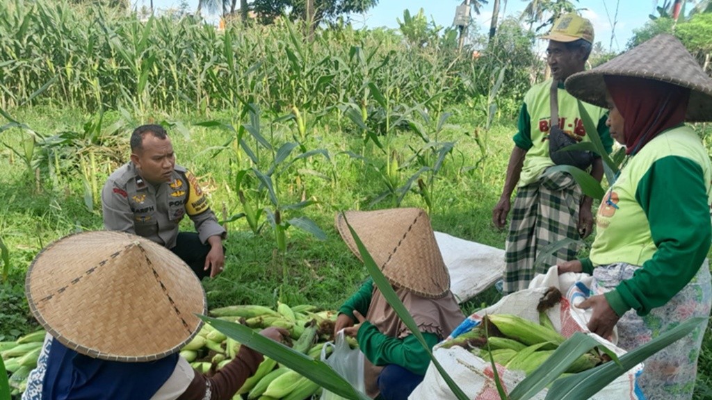 Petani Dusun Jogot Dimotivasi Bhabinkamtibmas Optimalkan Sawah