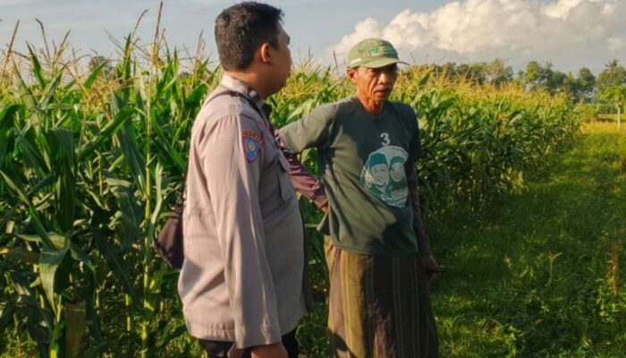Dukung Ketahanan Pangan, Bhabinkamtibmas Polsek Labuapi Dampingi Warga Manfaatkan Lahan Pekarangan