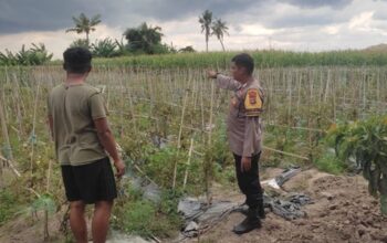 Bhabinkamtibmas Lombok Barat Dampingi Petani Dorong Ketahanan Pangan