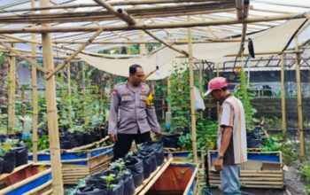 Bhabinkamtibmas Polsek Labuapi Dampingi Petani Sayur di Bajur
