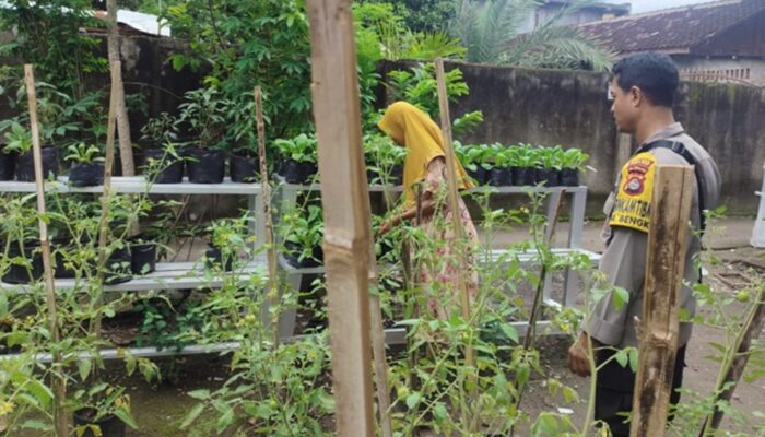 Dukung Ketahanan Pangan, Aksi Nyata Polsek Labuapi Sambangi Petani Bikin Haru dan Bangga