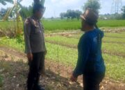 Kawal Ketahanan Pangan, Polsek Labuapi Edukasi Petani Telagawaru