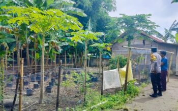 Cara Polsek Labuapi Lombok Barat Jaga Ketahanan Pangan Warga