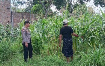 Bhabinkamtibmas Karang Bongkot Kawal Ketahanan Pangan Nasional
