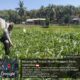Bhabinkamtibmas Desa Leming Cek Lahan Jagung Milik Warga di Dusun Karmela Selatan