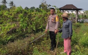 Dukung Ketahanan Pangan, Bhabinkamtibmas Desa Kuranji Dalang Dampingi Petani