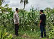 Wujudkan Kemandirian Pangan, Polsek Labuapi Dorong Warga Optimalkan Pekarangan