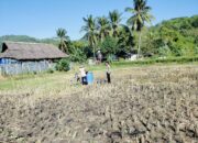 Antisipasi Gagal Panen, Bhabinkamtibmas Kuripan Edukasi Teknik Semprot Bibit Jagung
