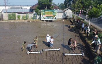 Kolaborasi TNI dan Petani Wujudkan Swasembada Pangan di Lombok Barat