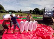 BHABINKAMTIBMAS POLSEK PEKAT KAWAL AKTIVITAS PANEN JAGUNG, DORONG PETANI KELOLA HASIL PANEN DAN MANFAATKAN PEKARANGAN