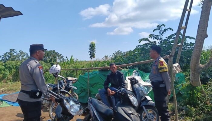 Antisipasi Maraknya Pencurian Biji Jambu Polsek Tambora Gelar Patroli Ke Lahan Perkebunan Warga