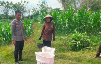 Dukung Program Asta Cita Presiden RI, Bhabinkamtibmas Desa Mokong Sambangi Petani di Persawahan