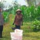 Dukung Program Asta Cita Presiden RI, Bhabinkamtibmas Desa Mokong Sambangi Petani di Persawahan