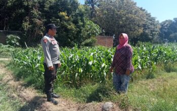 Dukung Pangan Bergizi, Bhabinkamtibmas Desa Labuhan Burung Ajak Warga Optimalkan Lahan Produktif