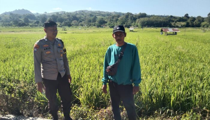 Dukung Asta Cita Ketahanan Pangan, Bhabinkamtibmas Desa Padasuka Motivasi Petani Optimalkan Lahan Produktif