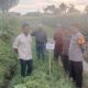 Bhabinkamtibmas Desa Malaju Dorong Pemanfaatan Pekarangan untuk Dukung Ketahanan Pangan di Kecamatan Kilo
