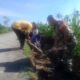 Babinsa Lembar Dampingi Petani Perkuat Infrastruktur Pertanian